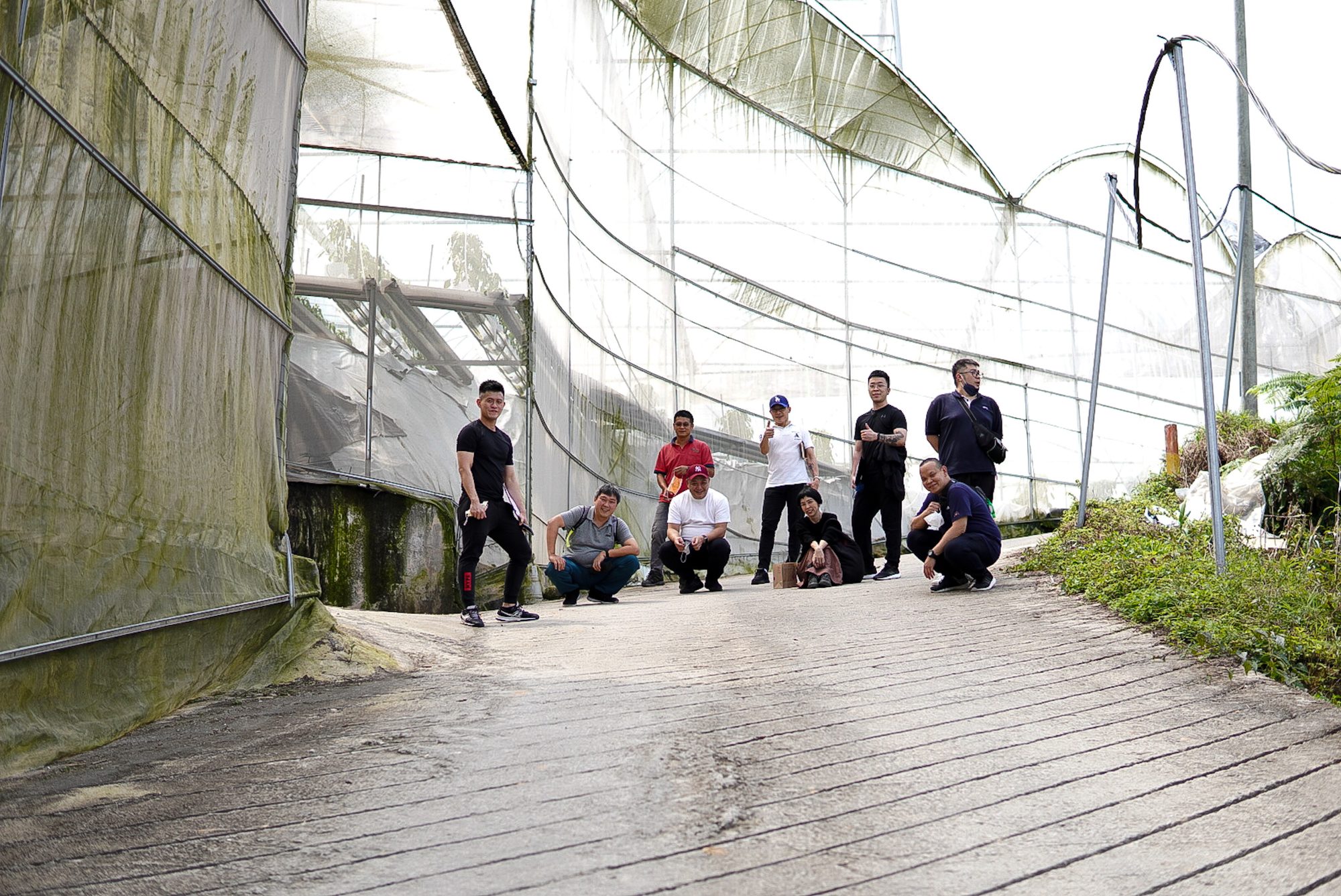 The Shin'Labo opening team gathered in the lane between two greenhouses in Cameron Highlands.