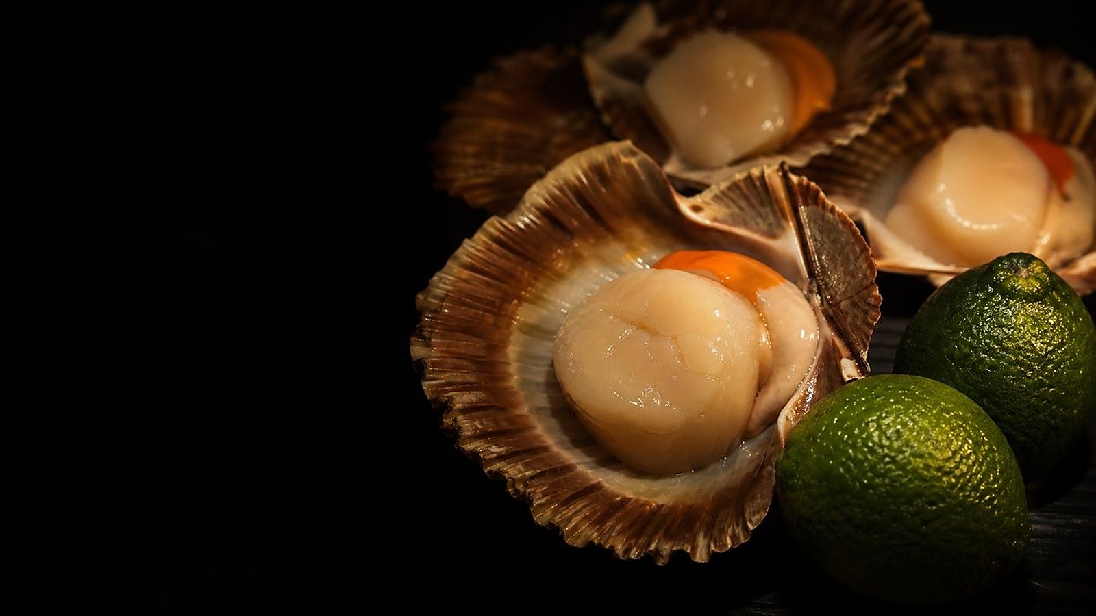 Course III, Saint-Jacques — the scallop and calamansi