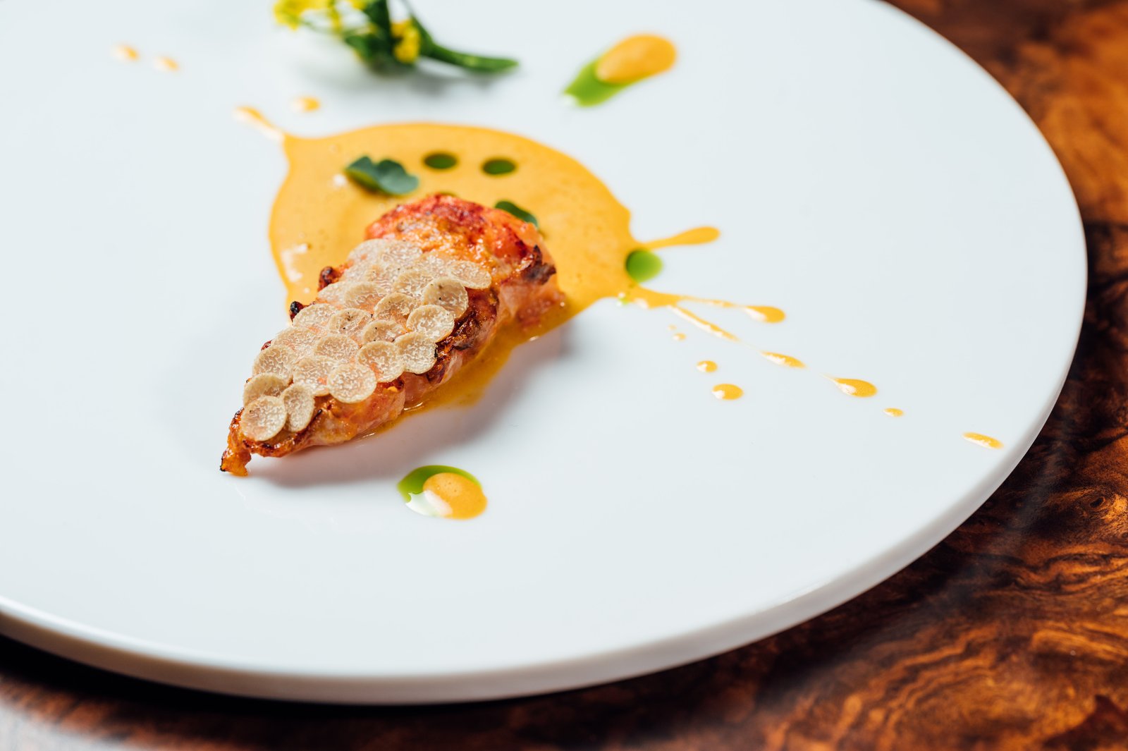 A plated course on a white plate — caviar over a crisp base with a golden uni sauce and dots of herb oil.