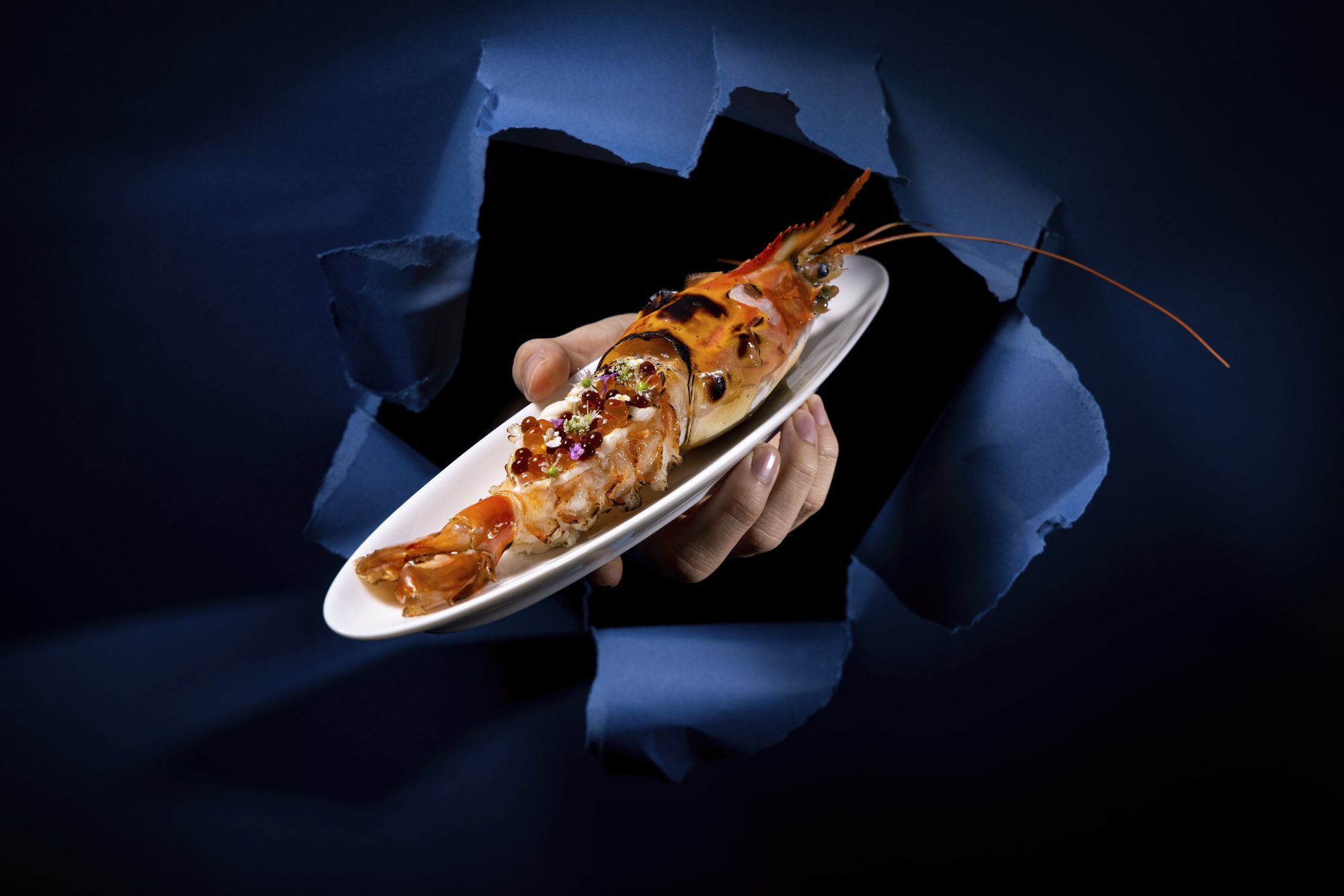 A whole glazed langoustine on a white oval plate, held out through torn dark-blue paper.