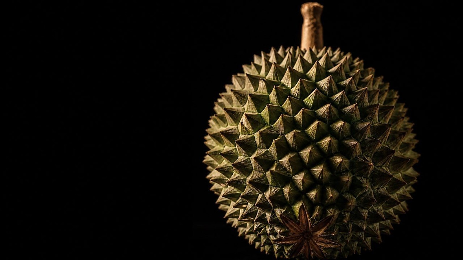 A whole durian, the hero of the evening, against black