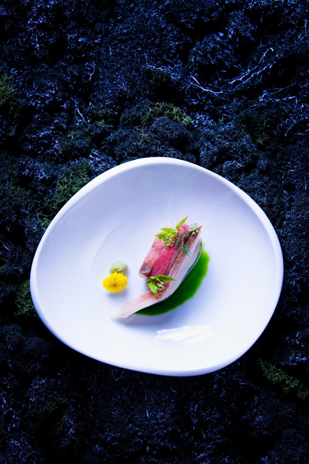 Shin'Labo sashimi.