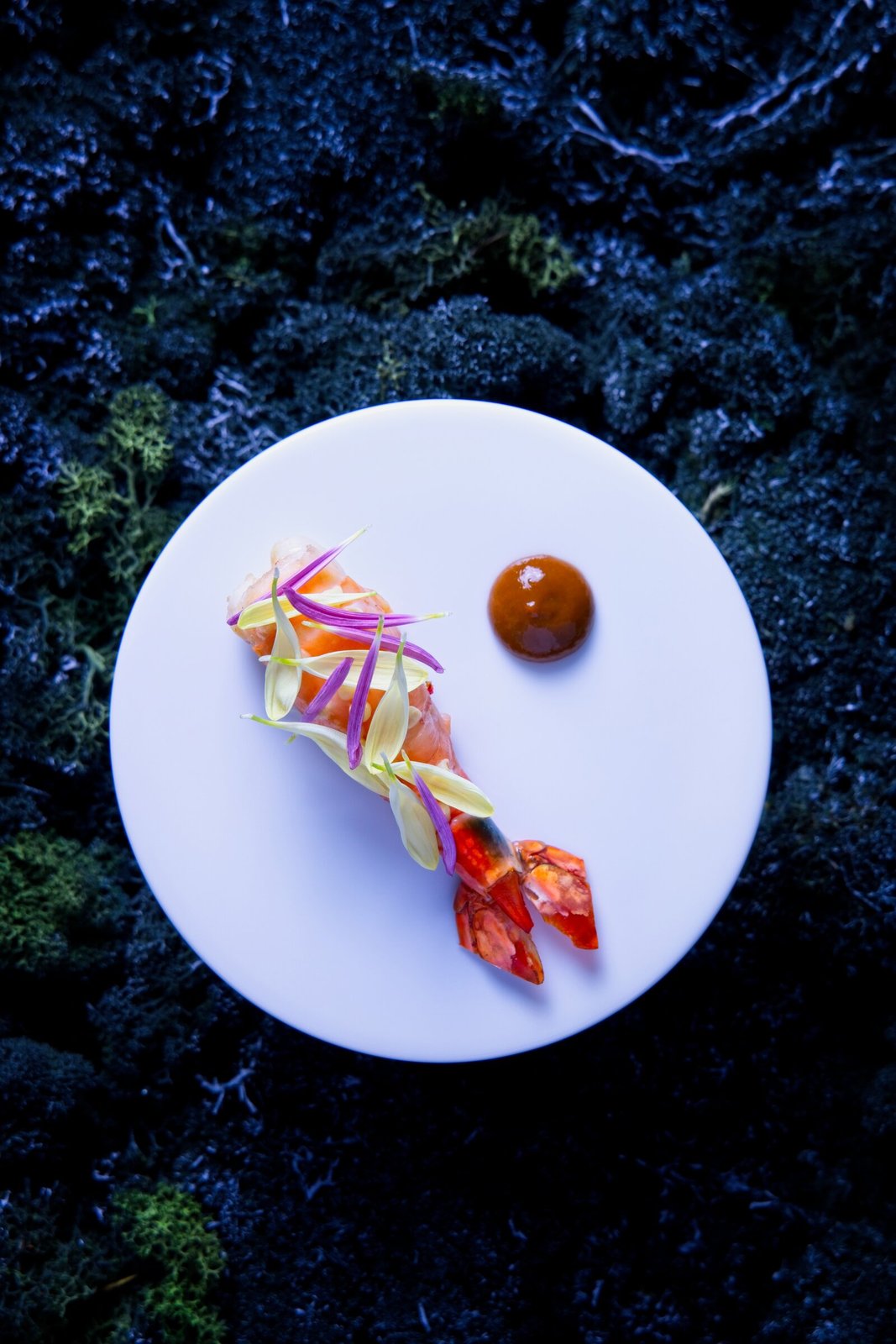 Shin'Labo prawn course.