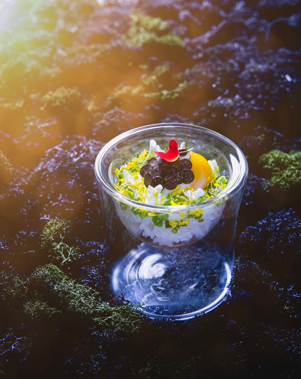 Shin'Labo rice — Truffle Hayashi Rice signature.