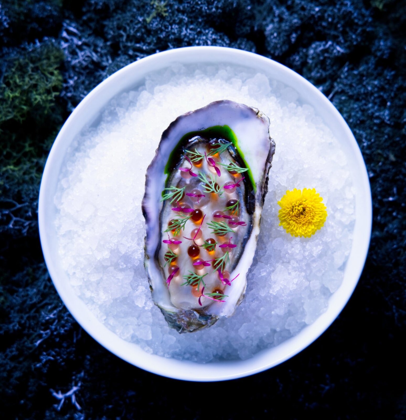 The iconic Shin'Labo oyster — the dish that defined the room.